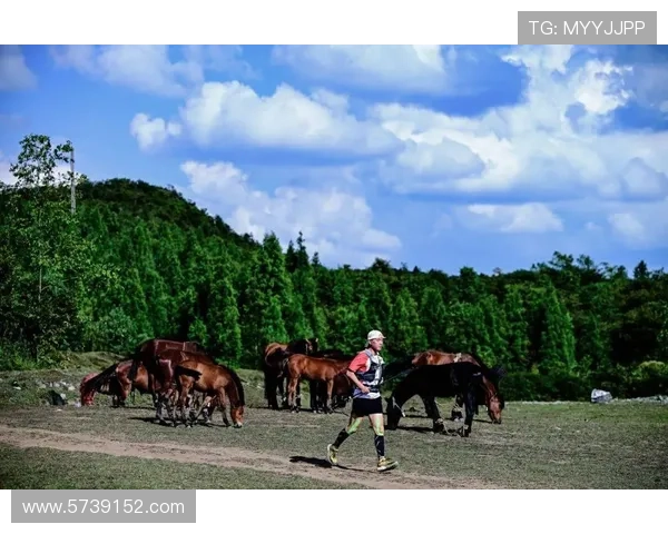 K1体育平台官网的体育资讯：获取最新赛事动态